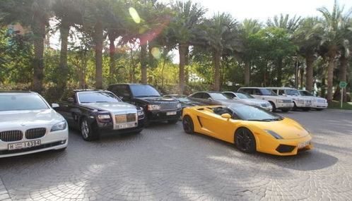 奢華與務(wù)實(shí)并存 從沙特汽車銷量榜看全球市場(chǎng)差異